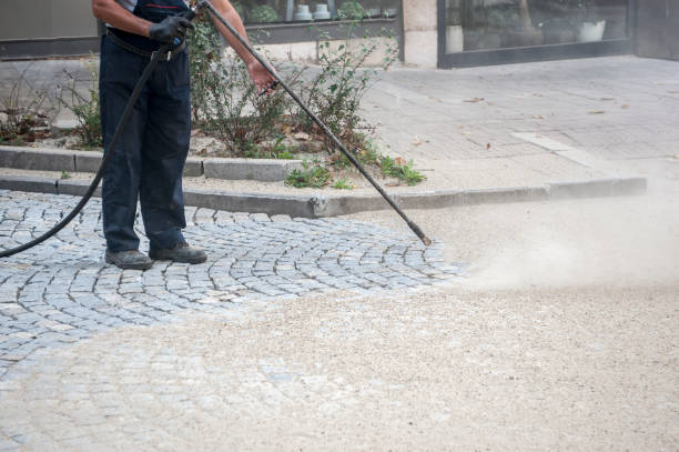 Best Animal Enclosure Cleaning  in Bristol, WI